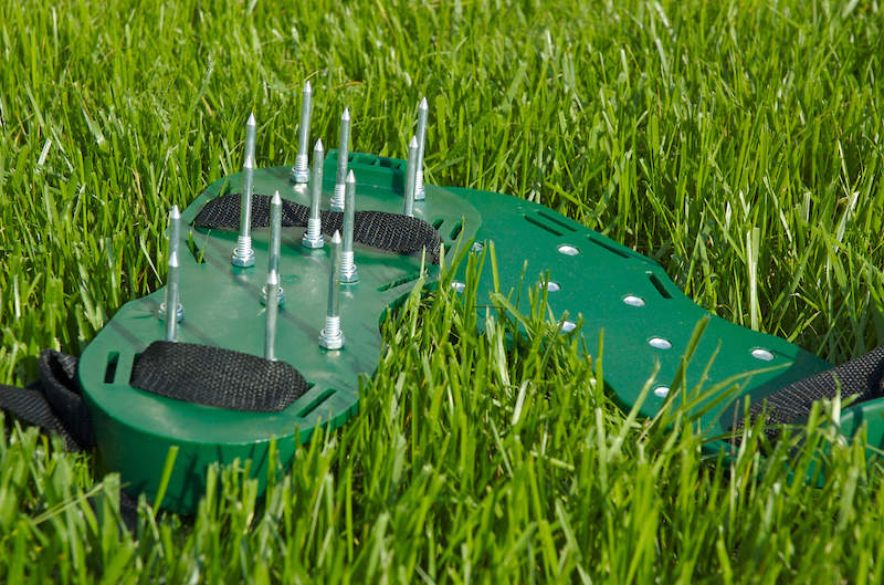 Why When and How to Aerate Your Lawn